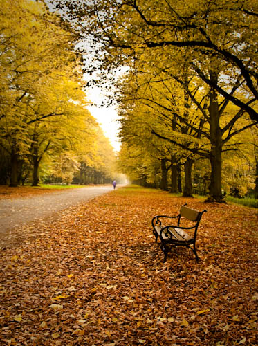 Kliknij na zdjęcie, żeby zobaczyć w pełnych wymiarach