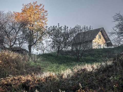 Kliknij na zdjęcie, żeby zobaczyć w pełnych wymiarach