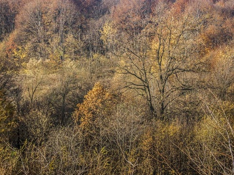 Kliknij na zdjęcie, żeby zobaczyć w pełnych wymiarach