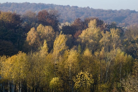 Kliknij na zdjęcie, żeby zobaczyć w pełnych wymiarach