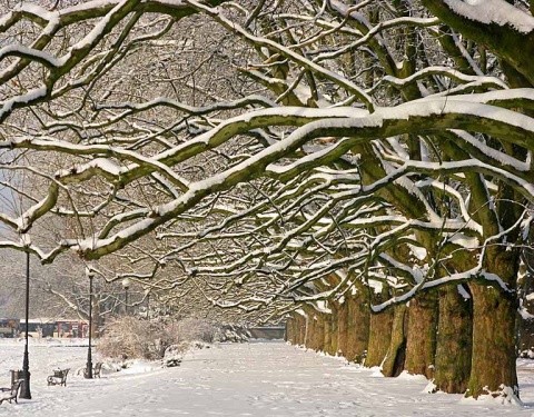 Kliknij na zdjęcie, żeby zobaczyć w pełnych wymiarach
