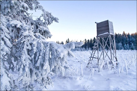 Kliknij na zdjęcie, żeby zobaczyć w pełnych wymiarach