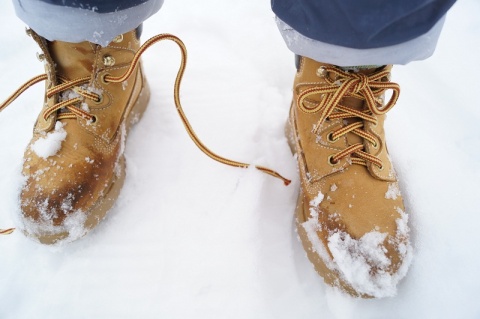 Kliknij na zdjęcie, żeby zobaczyć w pełnych wymiarach