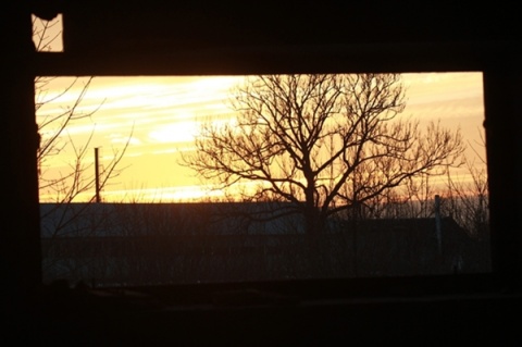 Kliknij na zdjęcie, żeby zobaczyć w pełnych wymiarach