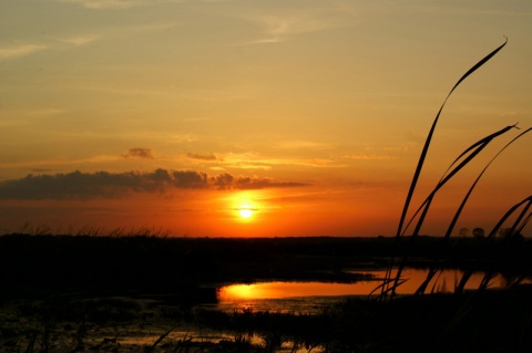 Kliknij na zdjęcie, żeby zobaczyć w pełnych wymiarach