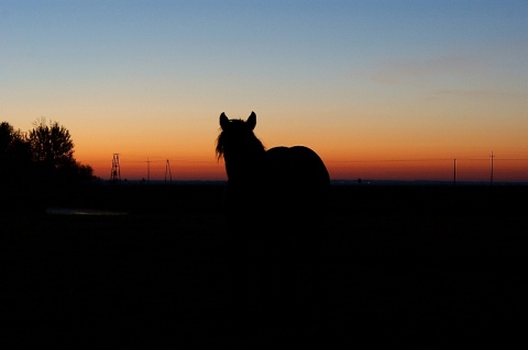 Kliknij na zdjęcie, żeby zobaczyć w pełnych wymiarach