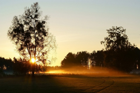 Kliknij na zdjęcie, żeby zobaczyć w pełnych wymiarach