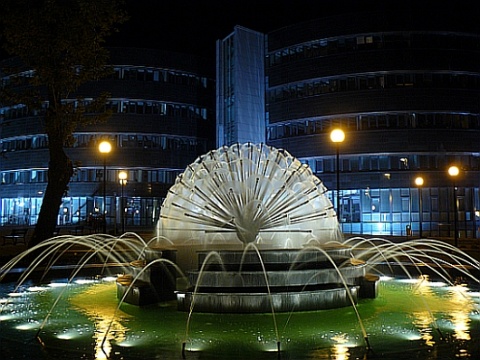 Kliknij na zdjęcie, żeby zobaczyć w pełnych wymiarach