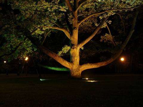 Kliknij na zdjęcie, żeby zobaczyć w pełnych wymiarach