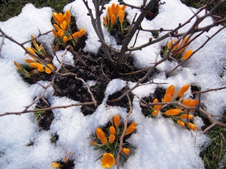 Kliknij na zdjęcie, żeby zobaczyć w pełnych wymiarach