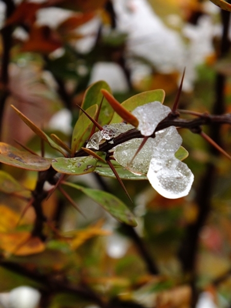 Kliknij na zdjęcie, żeby zobaczyć w pełnych wymiarach