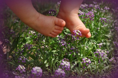 Kliknij na zdjęcie, żeby zobaczyć w pełnych wymiarach