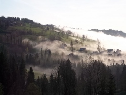 Kliknij na zdjęcie, żeby zobaczyć w pełnych wymiarach