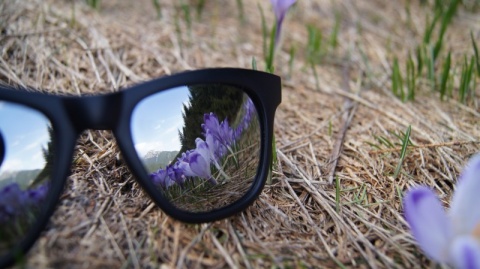 Kliknij na zdjęcie, żeby zobaczyć w pełnych wymiarach