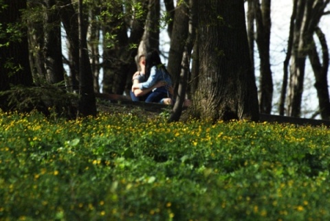 Kliknij na zdjęcie, żeby zobaczyć w pełnych wymiarach
