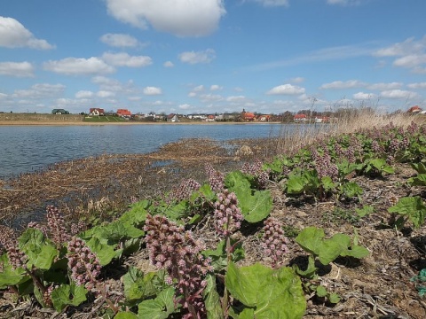 Kliknij na zdjęcie, żeby zobaczyć w pełnych wymiarach