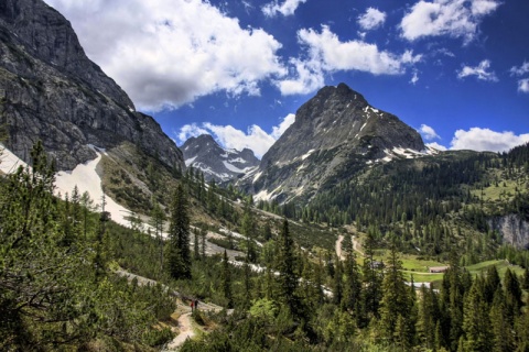 Kliknij na zdjęcie, żeby zobaczyć w pełnych wymiarach