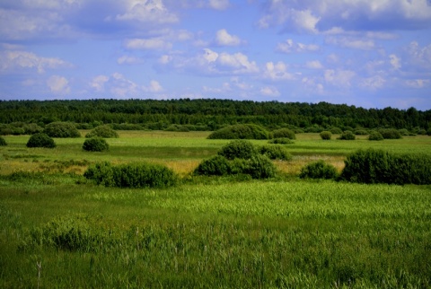 Kliknij na zdjęcie, żeby zobaczyć w pełnych wymiarach