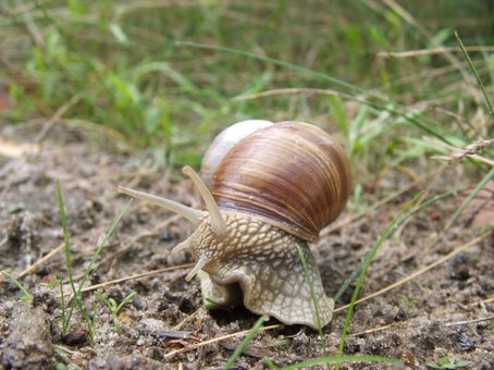 Kliknij na zdjęcie, żeby zobaczyć w pełnych wymiarach