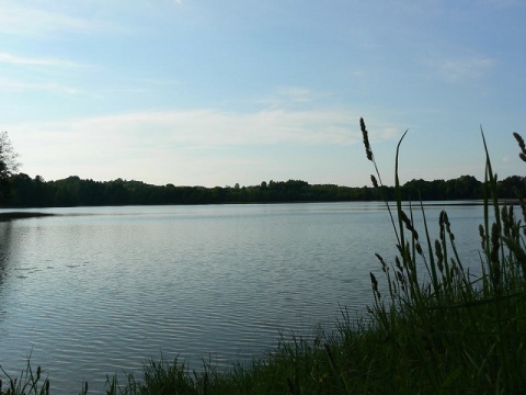 Kliknij na zdjęcie, żeby zobaczyć w pełnych wymiarach