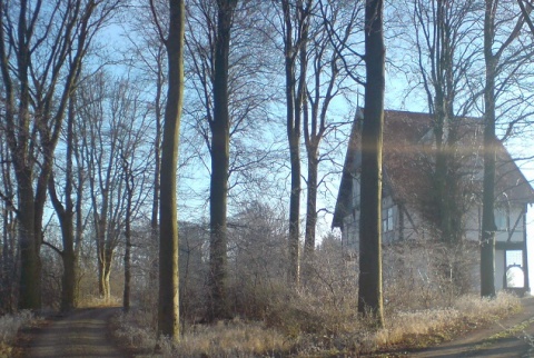 Kliknij na zdjęcie, żeby zobaczyć w pełnych wymiarach