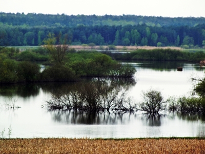 Kliknij na zdjęcie, żeby zobaczyć w pełnych wymiarach