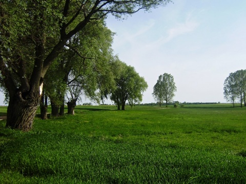Kliknij na zdjęcie, żeby zobaczyć w pełnych wymiarach