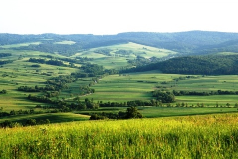 Kliknij na zdjęcie, żeby zobaczyć w pełnych wymiarach