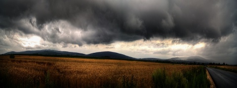 Kliknij na zdjęcie, żeby zobaczyć w pełnych wymiarach