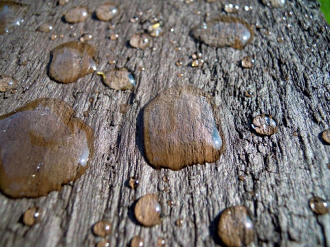 Kliknij na zdjęcie, żeby zobaczyć w pełnych wymiarach