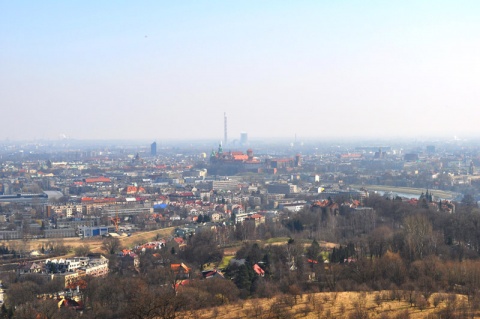 Kliknij na zdjęcie, żeby zobaczyć w pełnych wymiarach