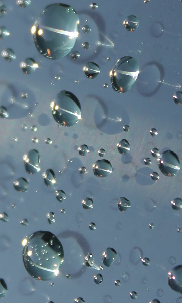 Kliknij na zdjęcie, żeby zobaczyć w pełnych wymiarach