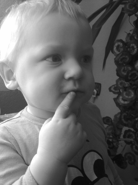 Kliknij na zdjęcie, żeby zobaczyć w pełnych wymiarach