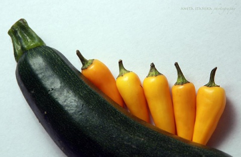 Kliknij na zdjęcie, żeby zobaczyć w pełnych wymiarach