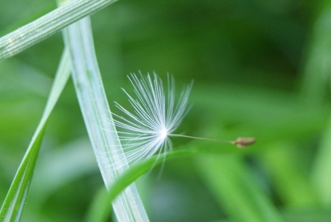 Kliknij na zdjęcie, żeby zobaczyć w pełnych wymiarach