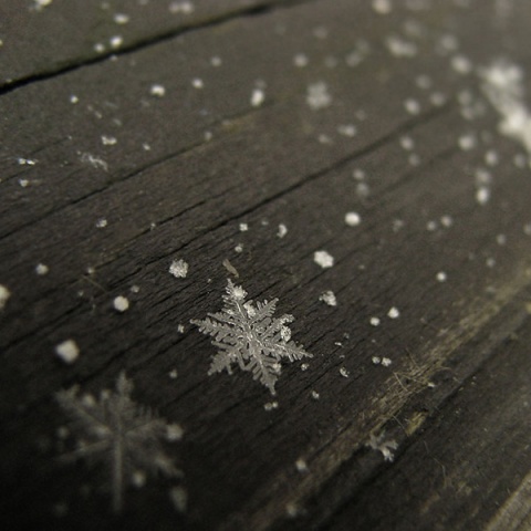 Kliknij na zdjęcie, żeby zobaczyć w pełnych wymiarach