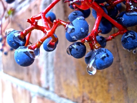 Kliknij na zdjęcie, żeby zobaczyć w pełnych wymiarach