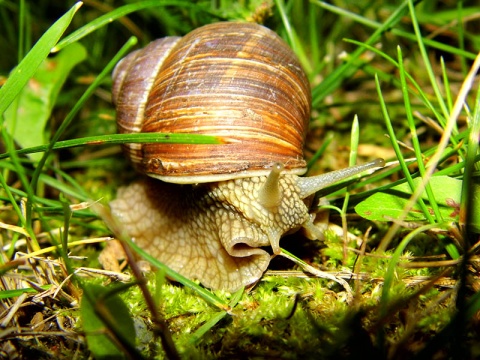 Kliknij na zdjęcie, żeby zobaczyć w pełnych wymiarach