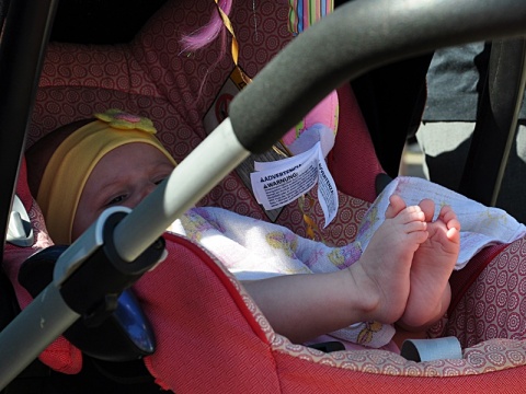 Kliknij na zdjęcie, żeby zobaczyć w pełnych wymiarach