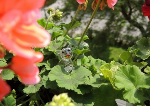 Kliknij na zdjęcie, żeby zobaczyć w pełnych wymiarach