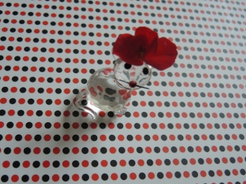 Kliknij na zdjęcie, żeby zobaczyć w pełnych wymiarach