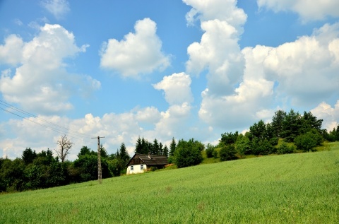 Kliknij na zdjęcie, żeby zobaczyć w pełnych wymiarach