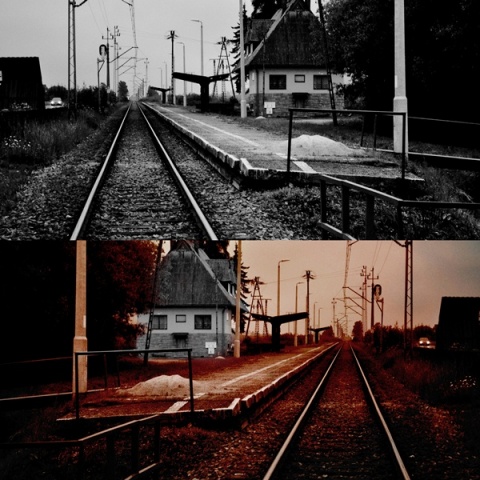 Kliknij na zdjęcie, żeby zobaczyć w pełnych wymiarach