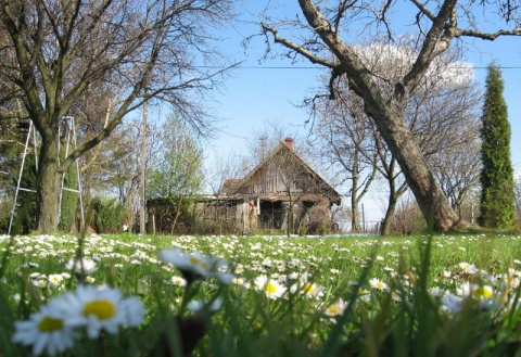 Kliknij na zdjęcie, żeby zobaczyć w pełnych wymiarach