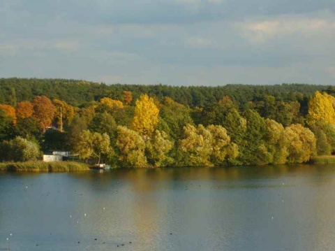 Kliknij na zdjęcie, żeby zobaczyć w pełnych wymiarach