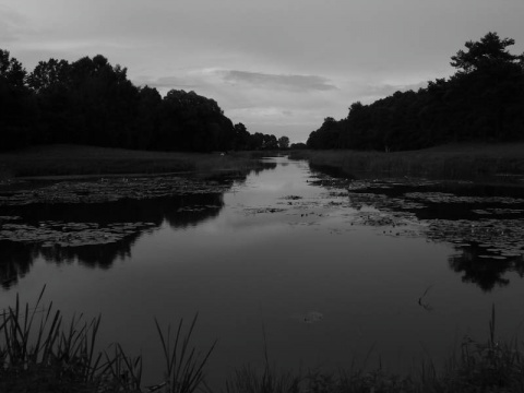 Kliknij na zdjęcie, żeby zobaczyć w pełnych wymiarach