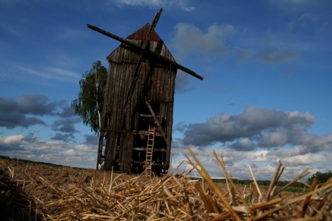 Kliknij na zdjęcie, żeby zobaczyć w pełnych wymiarach