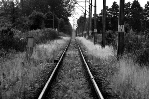 Kliknij na zdjęcie, żeby zobaczyć w pełnych wymiarach