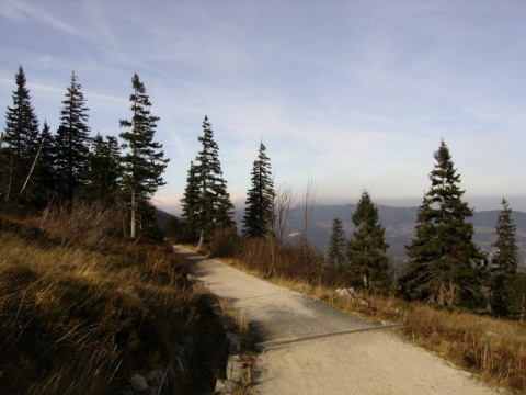 Kliknij na zdjęcie, żeby zobaczyć w pełnych wymiarach