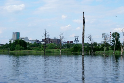 Kliknij na zdjęcie, żeby zobaczyć w pełnych wymiarach